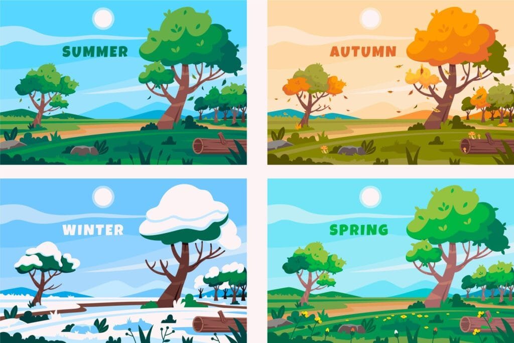 The four seasons of the year beautifully illustrated